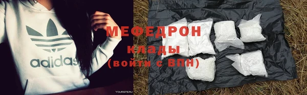 индика Зеленокумск