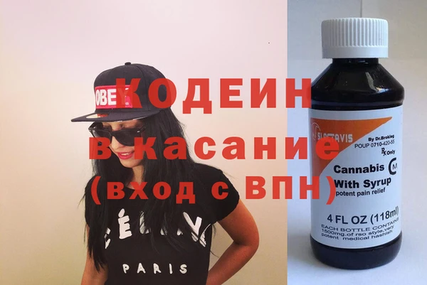хмурый Магас