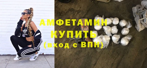 индика Зеленокумск