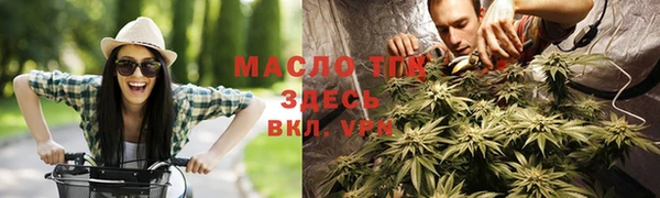 индика Зеленокумск