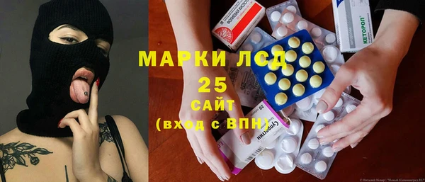 индика Зеленокумск