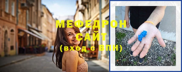 индика Зеленокумск