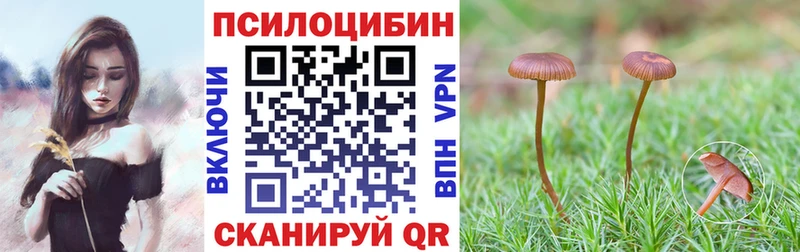 наркошоп Пикалёво Галлюциногенные грибы Psilocybe
